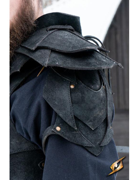 Ensemble complet Shadow Armor en...