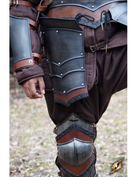 Glands de l'ensemble Rogue, Epic Armory