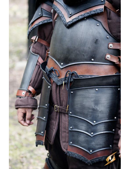 Glands de l'ensemble Rogue, Epic Armory