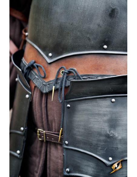 Glands de l'ensemble Rogue, Epic Armory