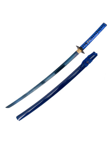 Katana d'entraînement de base bleu avec boîte