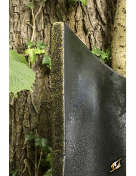Bouclier des Elfes pour GN, 120x55 cm.