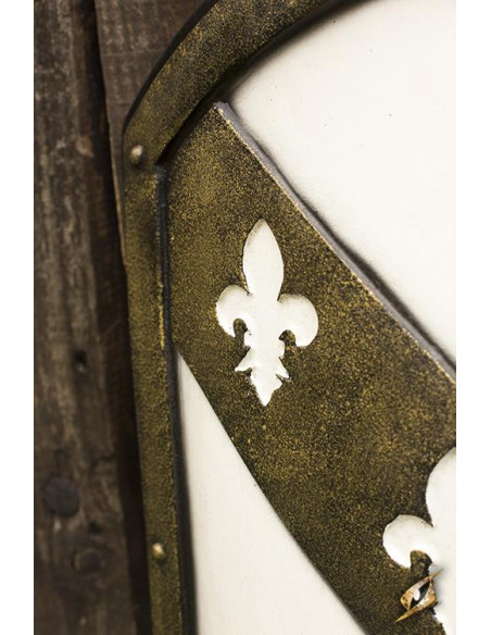 Bouclier Chevalier Médiéval Lions...