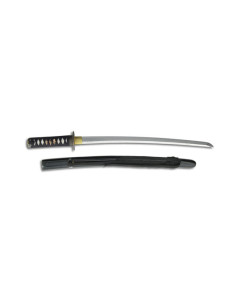 Wakizashi pour les pratiques