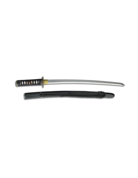 Wakizashi pour les pratiques