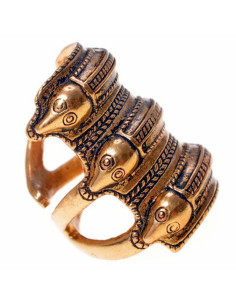 Anneau scandinave de l'âge du fer à Segerstad