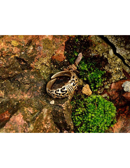 Anneau Viking Falster Orupgaard Danemark