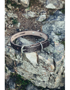 Collier pour chien Celtic Seal, marron foncé 2
