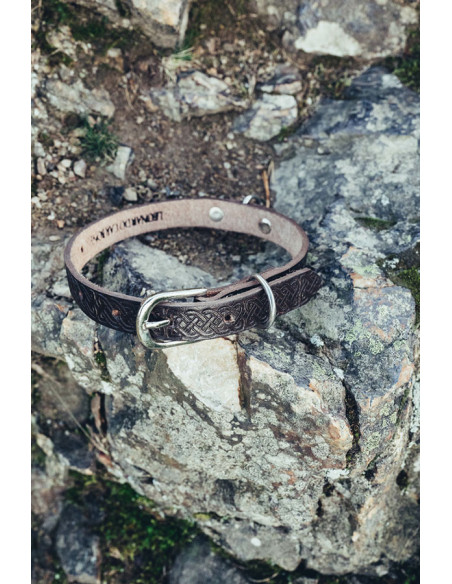 Collier pour chien Celtic Seal,...