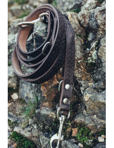 Ensemble laisse pour chien Ferris + collier Maddox