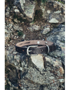 Ensemble laisse pour chien Ferris + collier Maddox 2