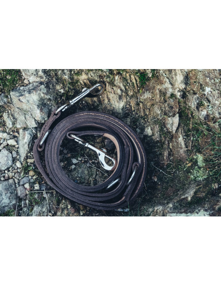 Ensemble laisse pour chien Ferris +...