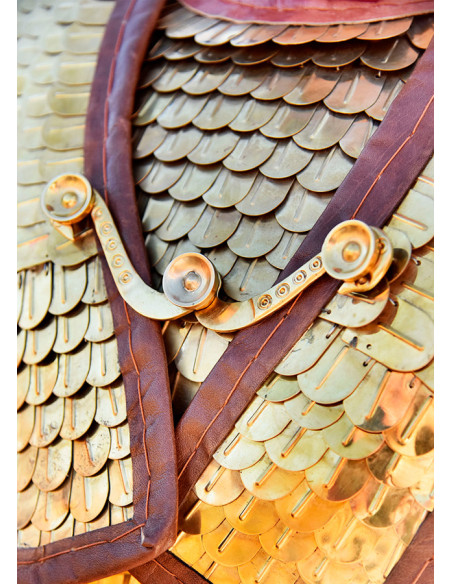 Roman Lorica Squamata avec écailles...