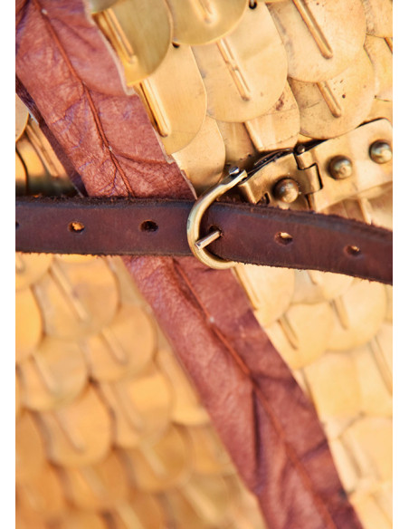 Roman Lorica Squamata avec écailles...