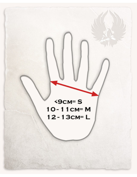 Gant de gardien Robin main gauche, 1...