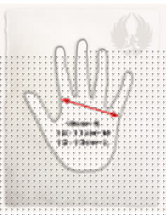 Gant de gardien de but Robin pour la main droite, 1 pièce 2