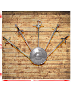 Panoplie (1) avec cinq épées médiévales réelles et historiques avec bouclier