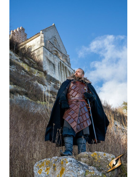 Armure de brigantin du guerrier...