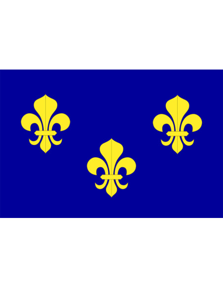 Bannière-drapeau de la France avant...