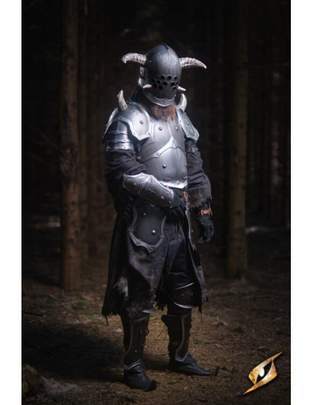 Armure complète univers Marauder...