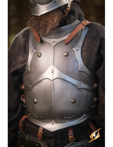 Armure complète univers Marauder...