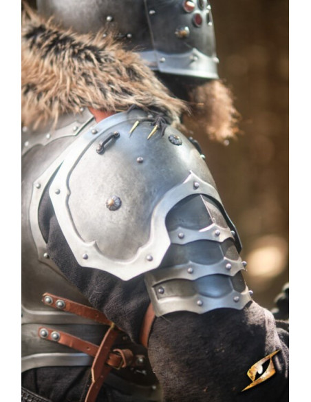 Armure complète univers Marauder...