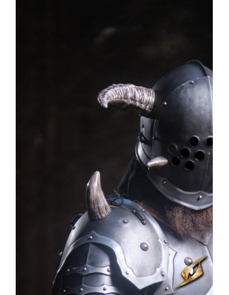 Armure complète univers Marauder...