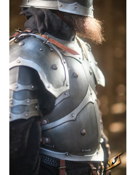 Armure complète univers Marauder...