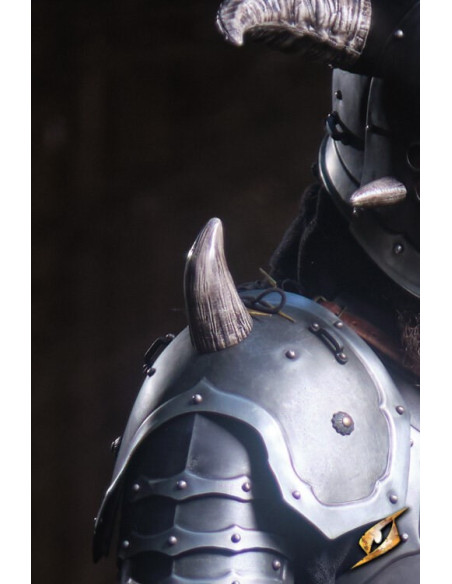 Armure complète univers Marauder...