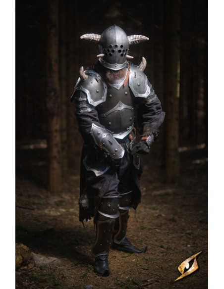 Armure complète univers Marauder...