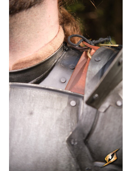 Cuirasse en acier foncé de la série...