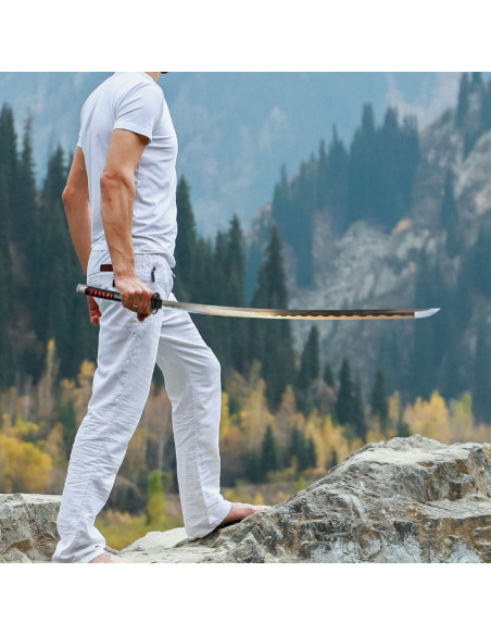 Ensemble de katana forgé à la main...