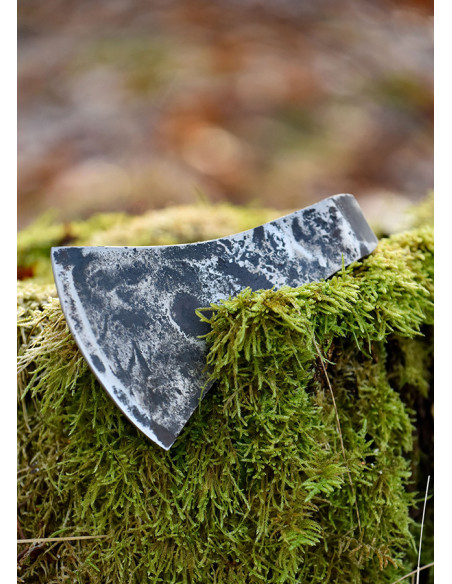 Tête de hache en acier au carbone...