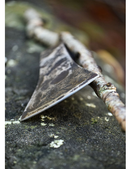 Tête de hache en acier au carbone...