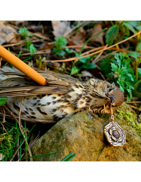 Boucles d'oreilles médiévales...