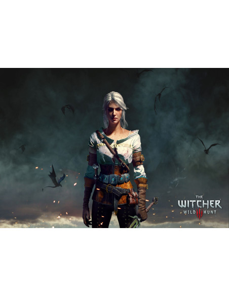 Bannière-Drapeau Ciri, The Witcher...