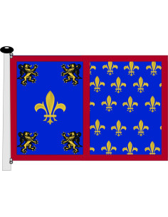 Drapeau médiéval bleu-jaune Lions rampants avec fleur de lys
