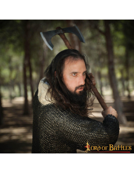 Hache fonctionnelle à double...