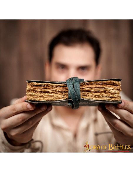 Journal fantastique des pensées...