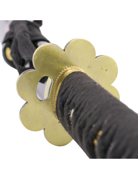 Katana pratique de base Shusui Zoro...