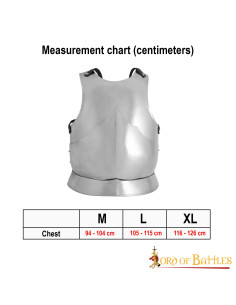 Cuirasse gothique en acier doux poli 2