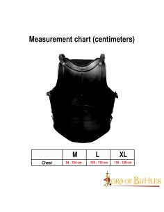 Classic Cuirass Fantasy quatre plaques, acier noirci 2