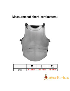 Classic Cuirass Fantasy quatre plaques, acier poli 2