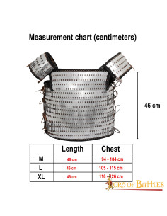 Armure viking lamellaire à l'échelle de Visby 2
