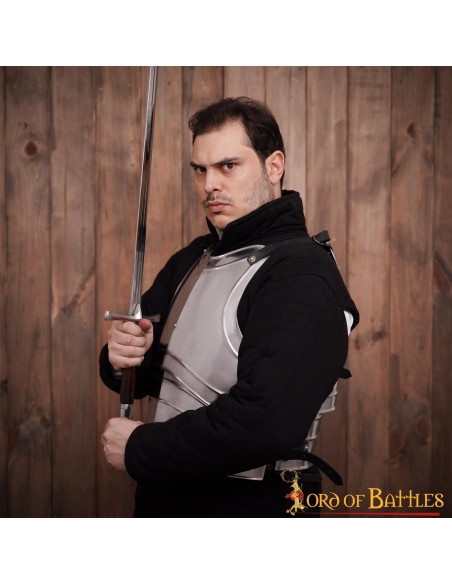 Armure viking lamellaire à l'échelle...