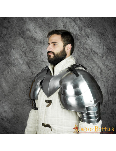 Grandes épaulettes de chevalier... Grandes épaulettes de chevalier...