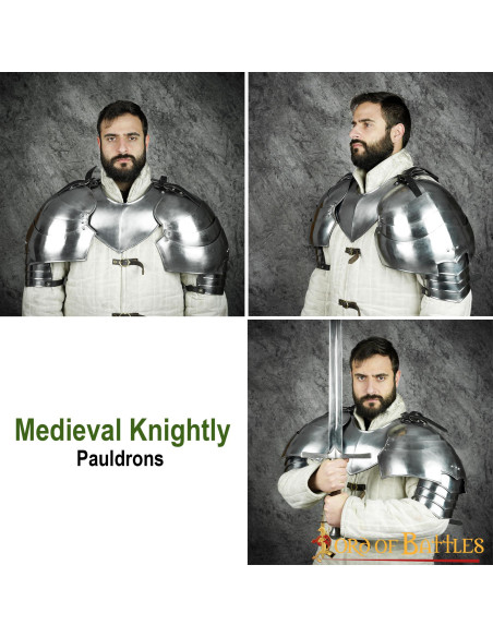 Grandes épaulettes de chevalier... Grandes épaulettes de chevalier...