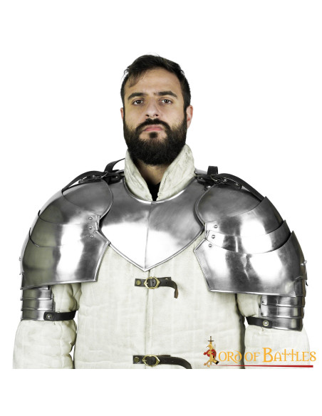 Grandes épaulettes de chevalier... Grandes épaulettes de chevalier...