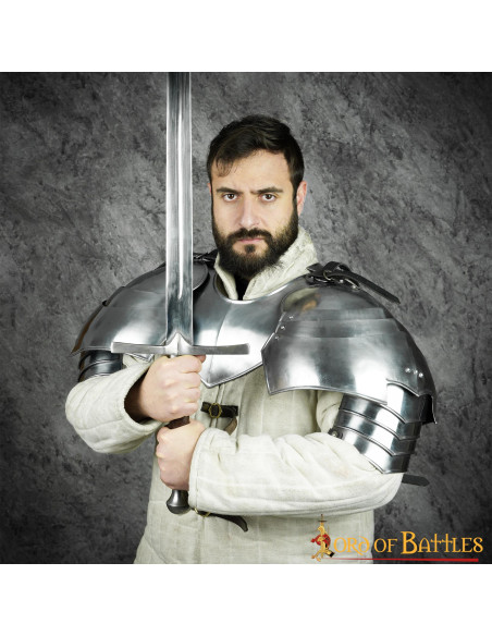 Grandes épaulettes de chevalier... Grandes épaulettes de chevalier...
