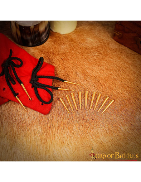 Ensemble de 10 aiglets-accessoires...